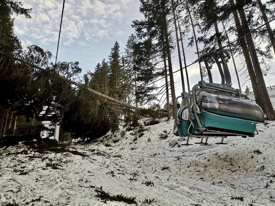 Venti forti causano caduta alberi sulla seggiovia: 4 feriti a Racines 1 Venti forti causano caduta alb.jpg