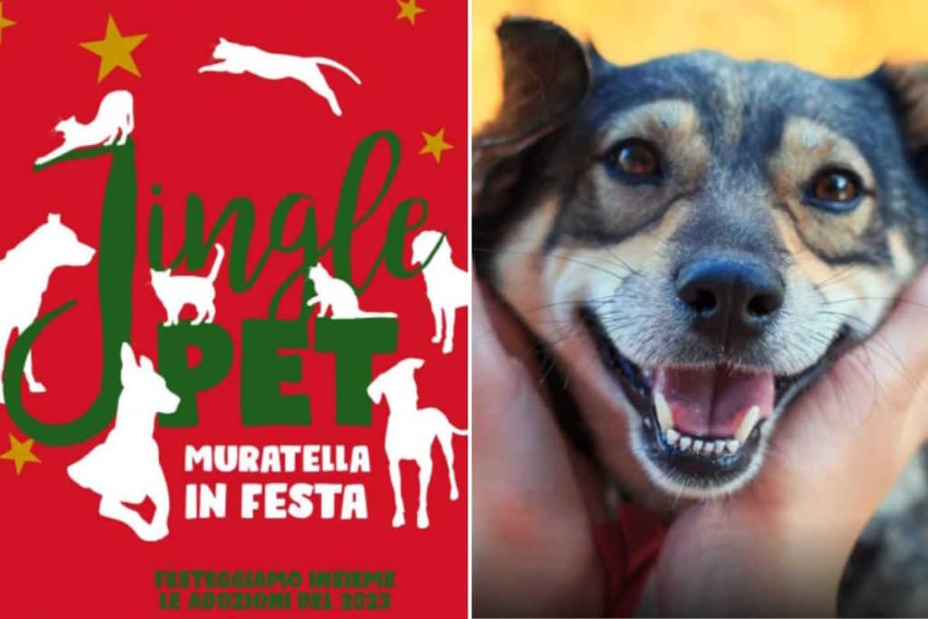 adozioni Muratella 1.jpg