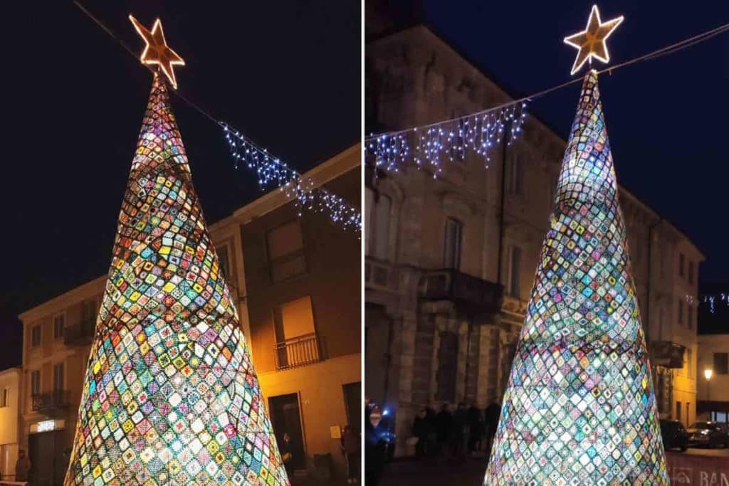 albero 3.jpg