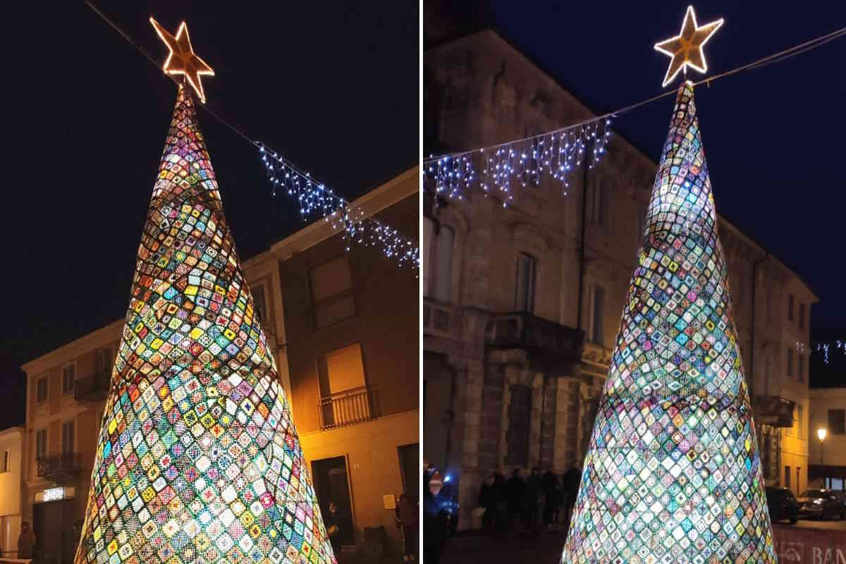 albero 3.jpg