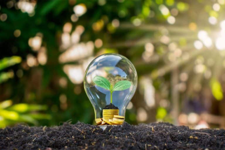 ambiente e innovazione.jpg