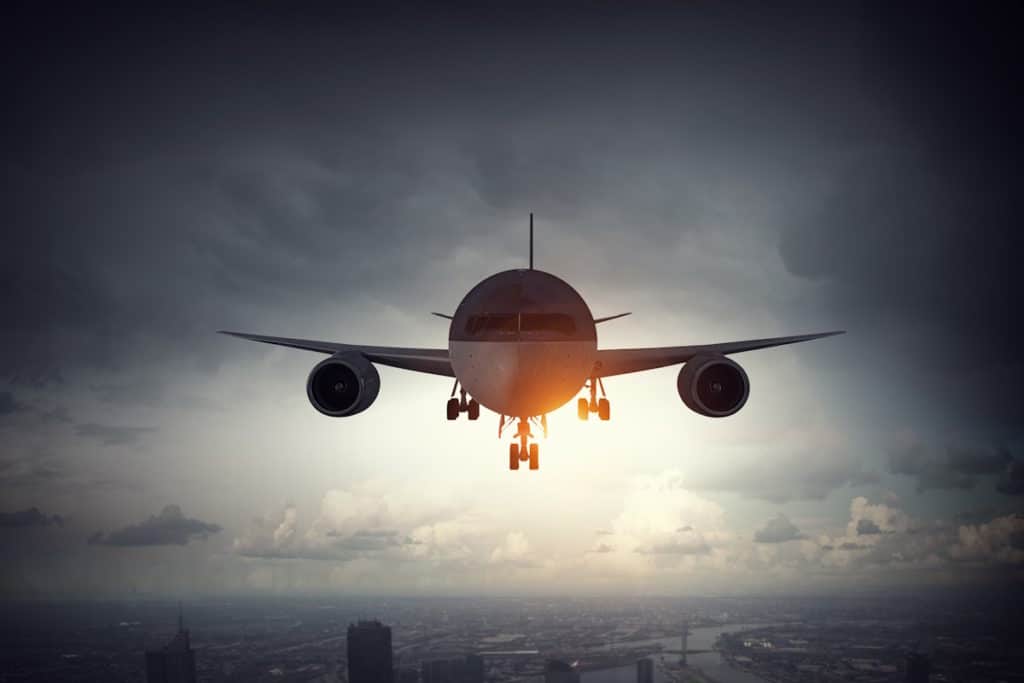 animali viaggi aereo c.jpg