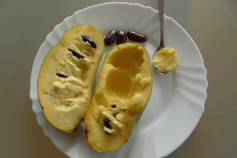 banana di montagna 1.jpg