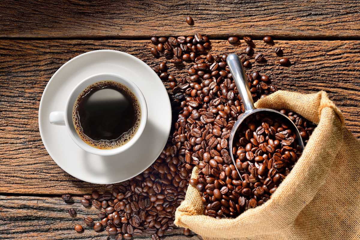 La caffeina potrebbe avere un effetto sorprendente sulla capacità di apprendimento del cervello 1 caffe.jpg