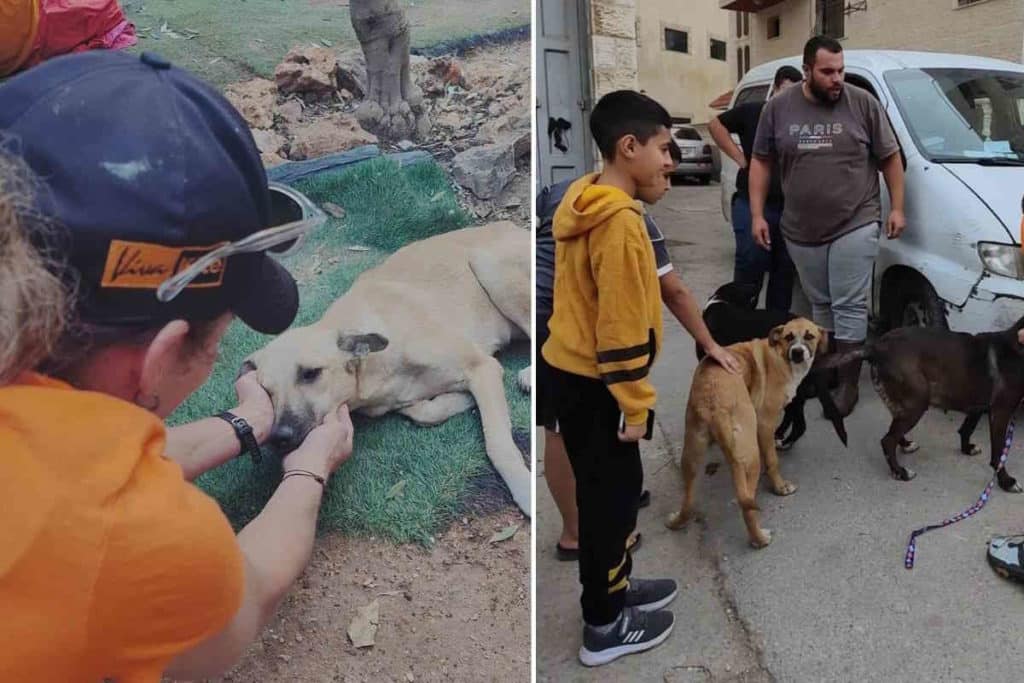 cani West Bank.jpg