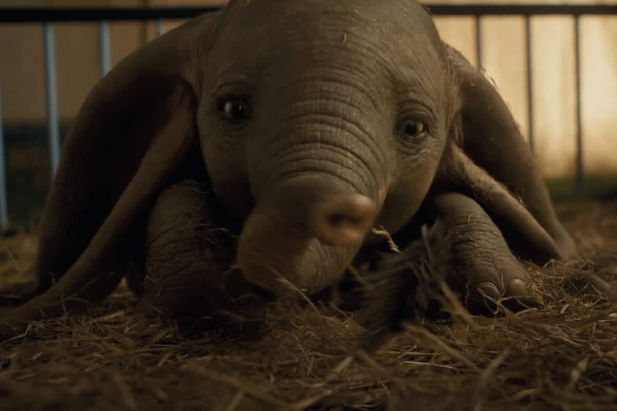 Dumbo di Tim Burton: curiosità sul film e differenze con il cartone Disney 1 dumbo 3.jpg