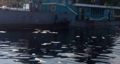 fiume 500x266.jpg