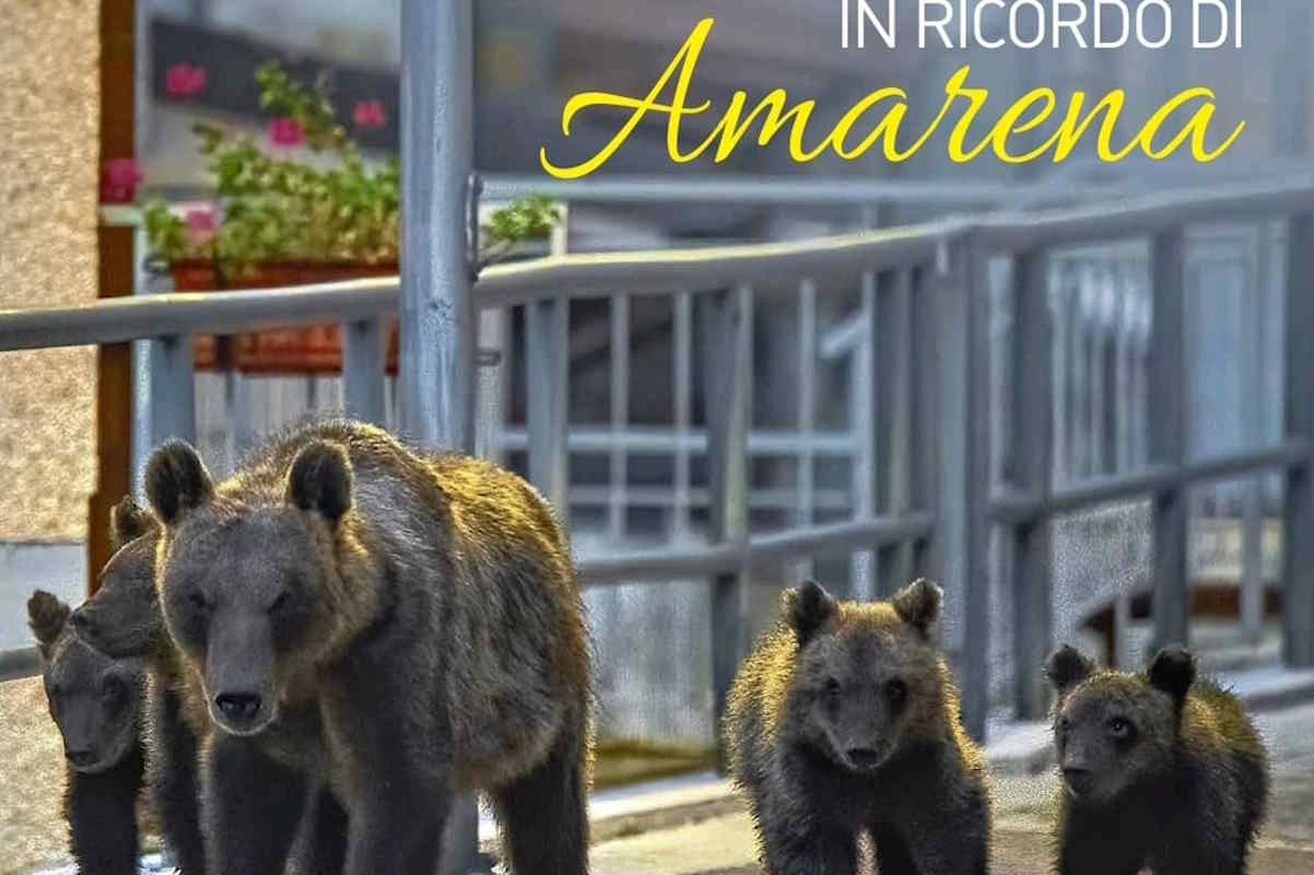 foto amarena.jpg