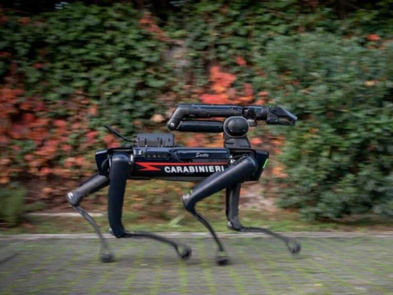 foto cane robot 1 800x600.jpg