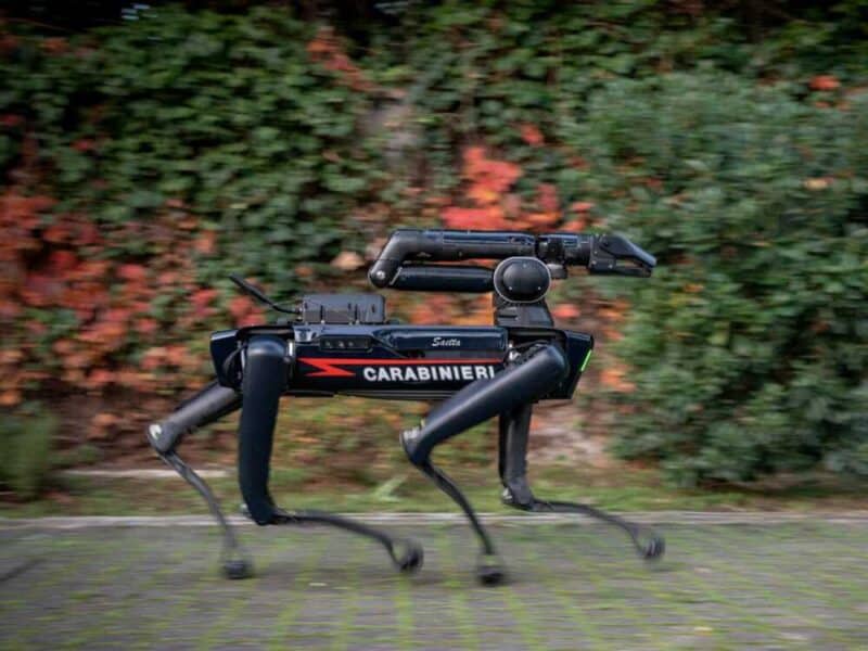 Arriva Saetta, il cane-robot artificiere dei Carabinieri di Roma 1 foto cane robot 1 800x600.jpg