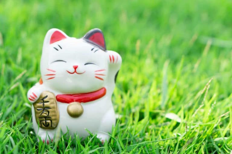 Quali sono i gatti che portano fortuna? 1 gatti portafortuna.jpg