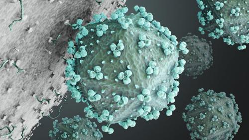 hiv attacking a cell m.jpg