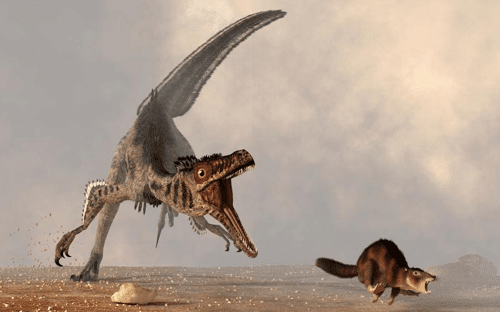 illustration of a velociraptor left chasing a small brown mammal right m.png