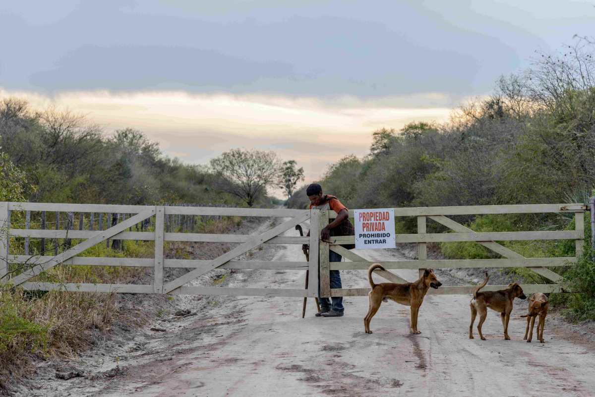 L’infinita lotta degli indigeni Ayoreo, le loro terre in Paraguay rischiano di sparire per sempre 1 indigeni paraguay.jpg