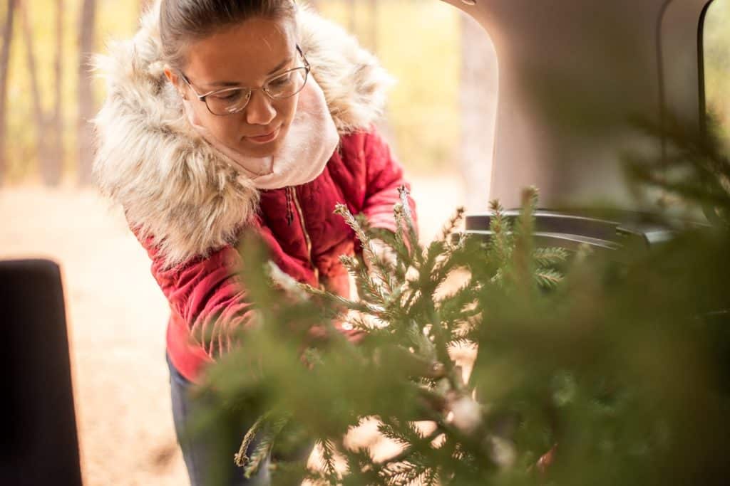norme trasporto albero di natale in auto.jpg