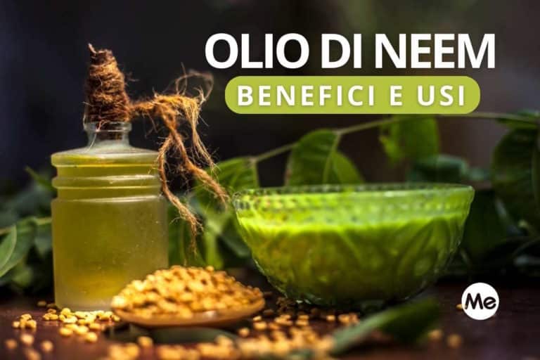 Olio di neem, alleato prezioso: benefici e per cosa si usa 1 olio di neem.jpg