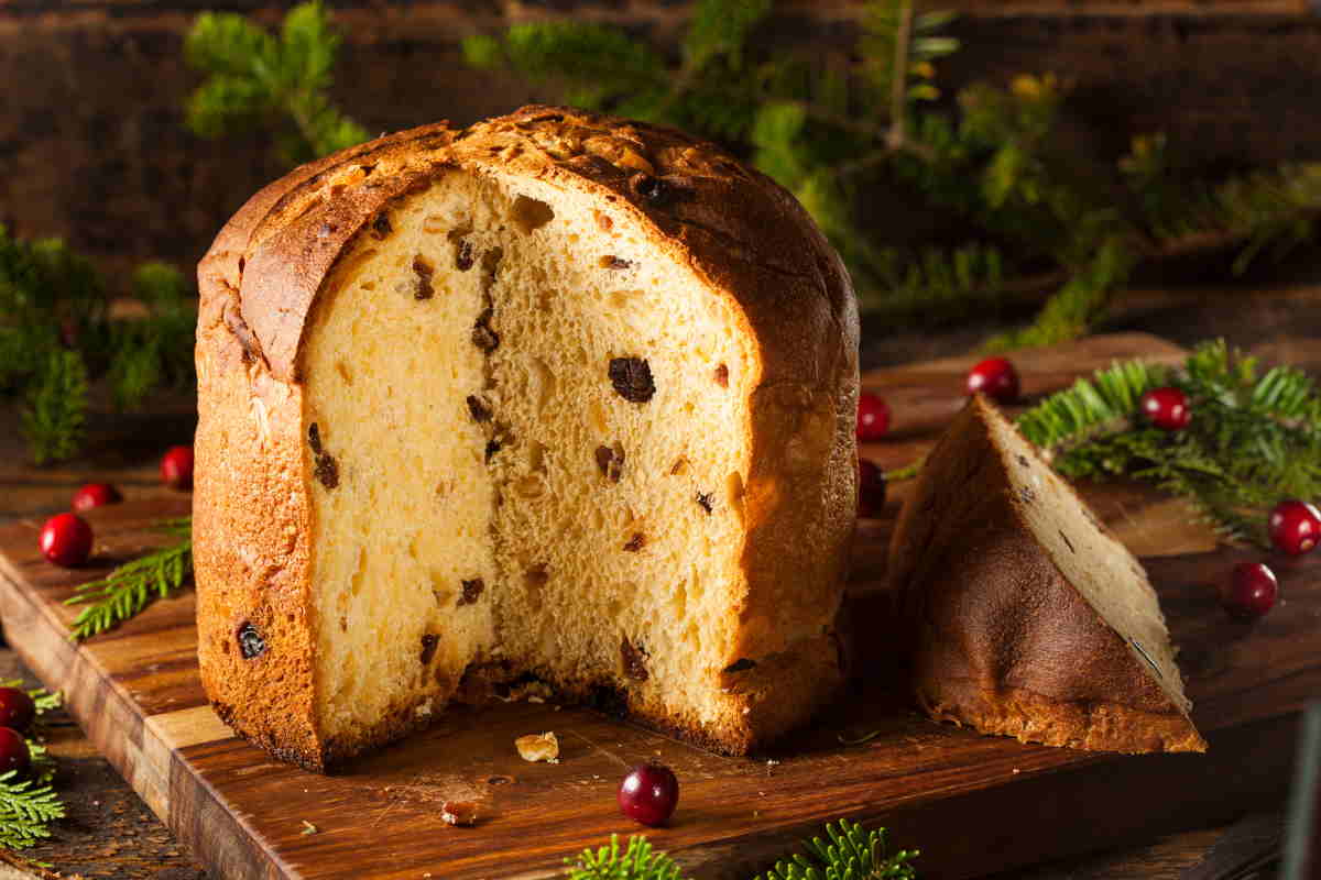 panettone storia origine.jpg