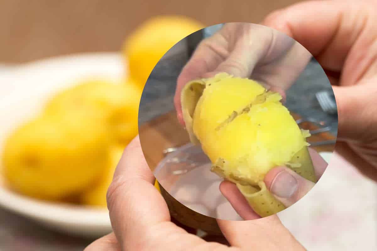 Con questo trucchetto elimino la buccia dalle patate lesse in un attimo: provare per credere 1 pelare patate trucco.jpg