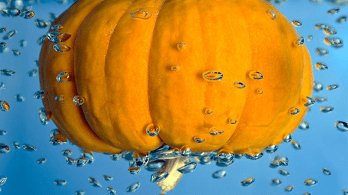 pumpkin m.png