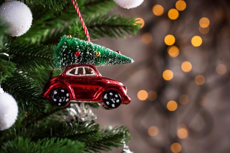 trasporto albero di natale in auto.jpg