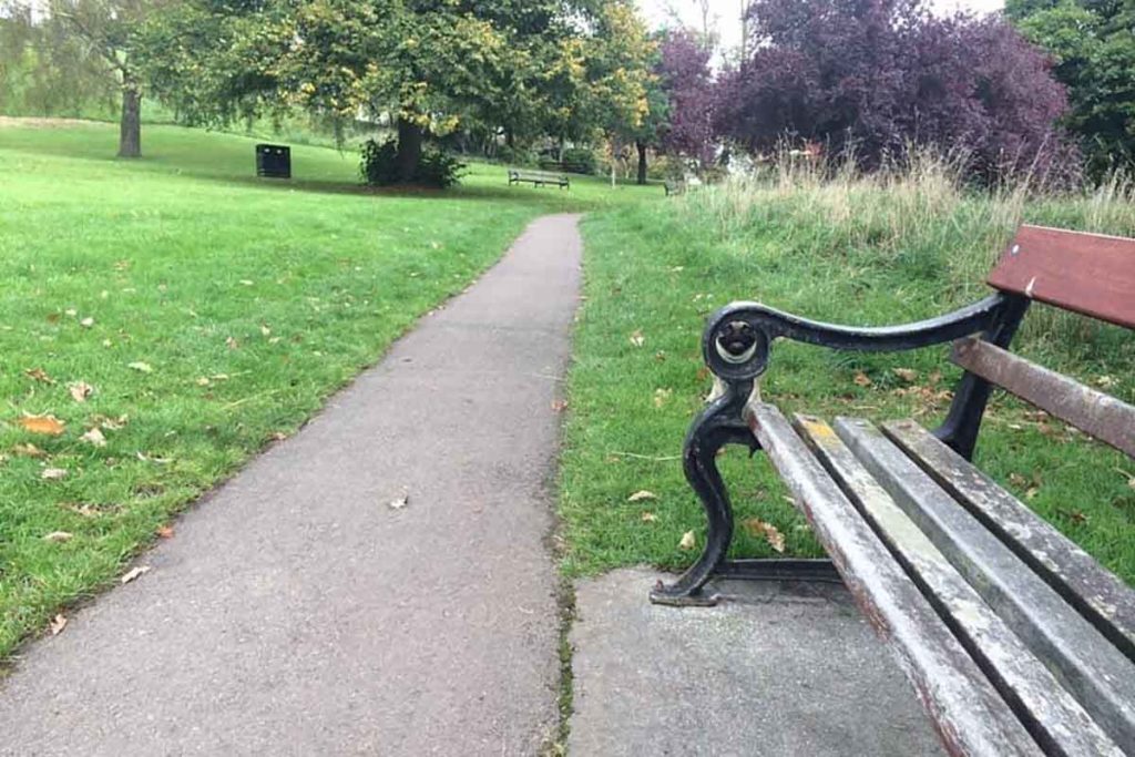 trova il cane.jpg