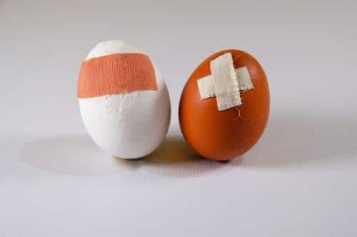 two damaged eggs patched up with plasters m.jpg
