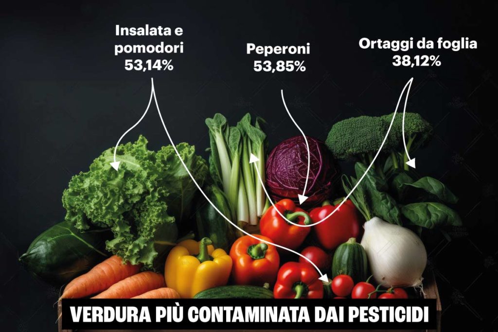 verdura.jpg