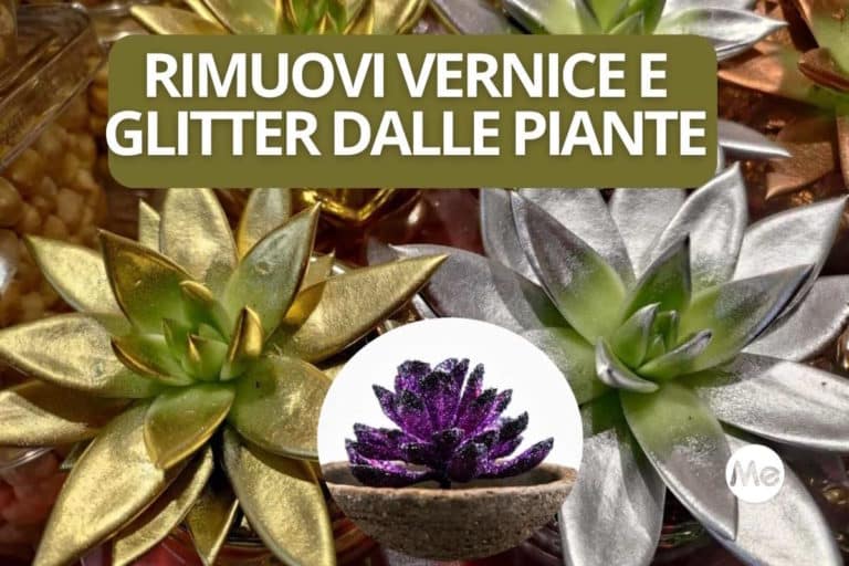 vernice glitter piante.jpg