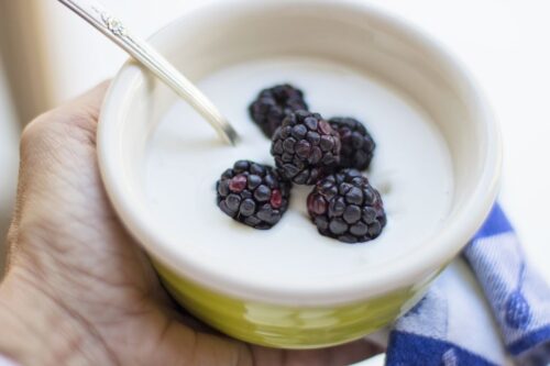 yogurt 500x333.jpeg