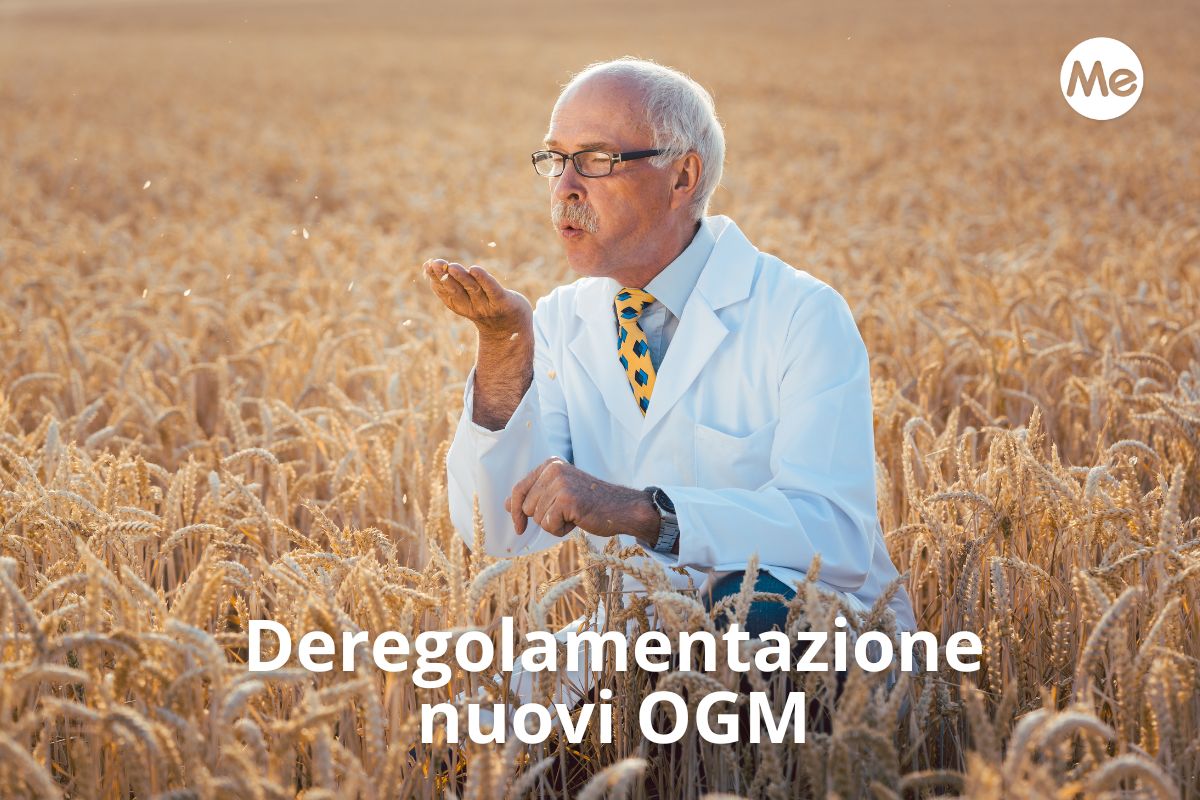 Nuovi OGM: sempre più vicina la deregolamentazione in Europa (nonostante i gravi rischi) 1 Deregolamentazione nuovi OGM.jpg