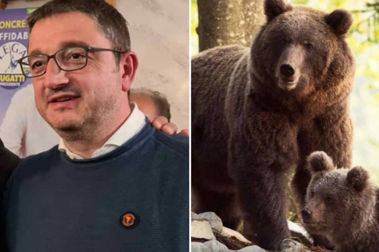 Fugatti orsi.jpg
