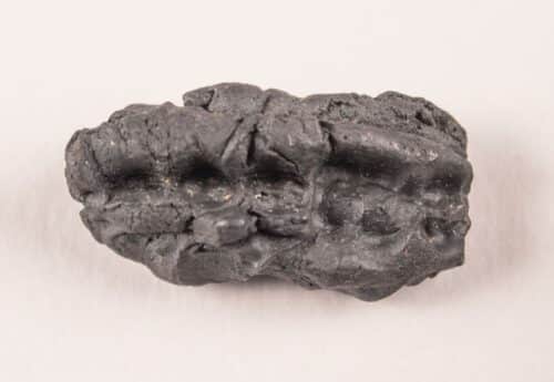 Un nuovo studio rivela cosa mangiavano gli esseri umani dell’età della pietra oltre 10.000 anni fa 1 Huseby Klev 500x345.jpg
