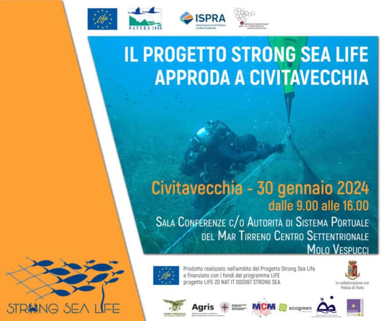 Il progetto Strong Sea Life approda a Civitavecchia.jpg
