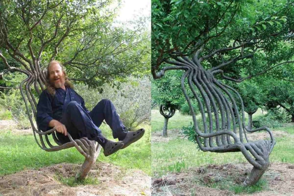Modellare alberi.jpg