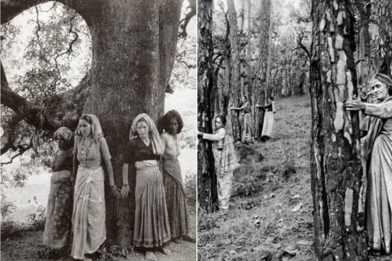 Movimento Chipko.jpg