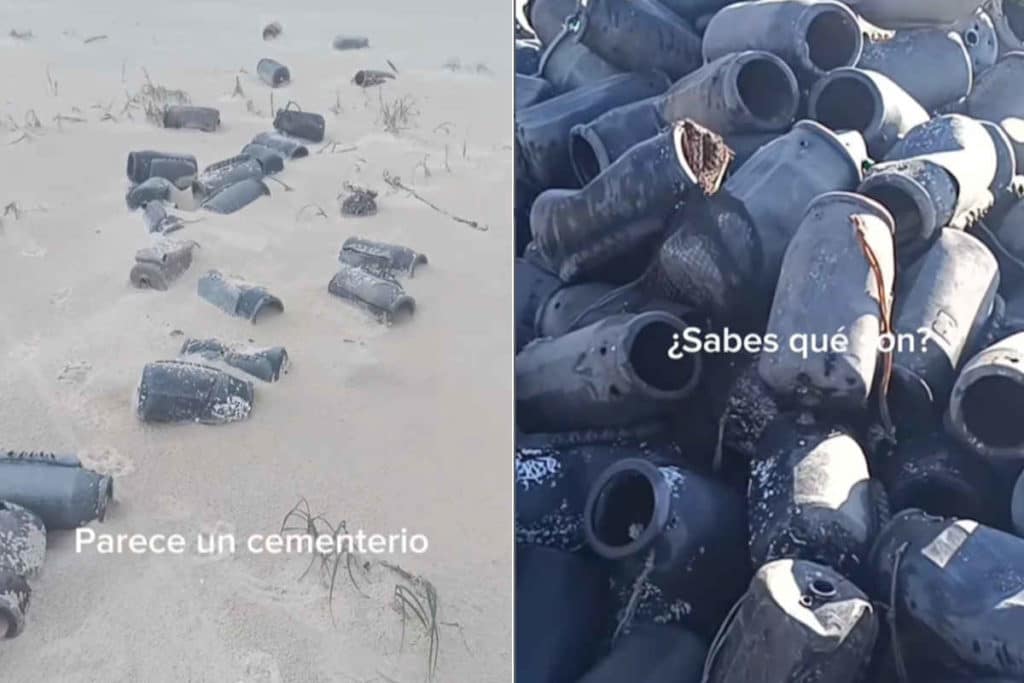 Nasse polpi.jpg