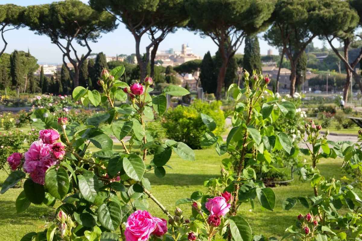 Roseto Comunale.jpg