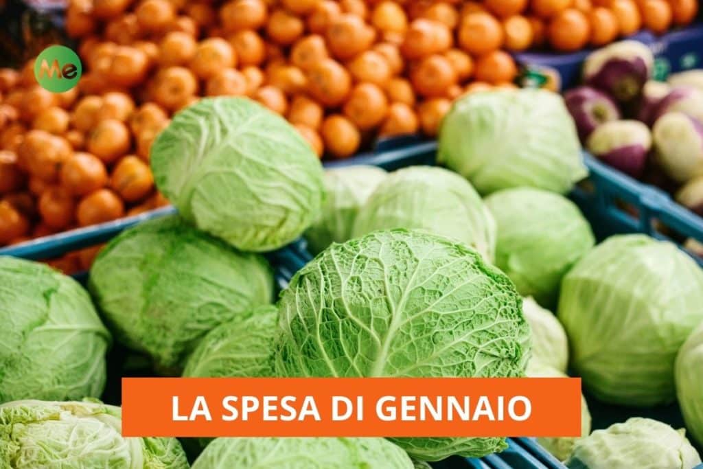 SPESA GENNAIO.jpg