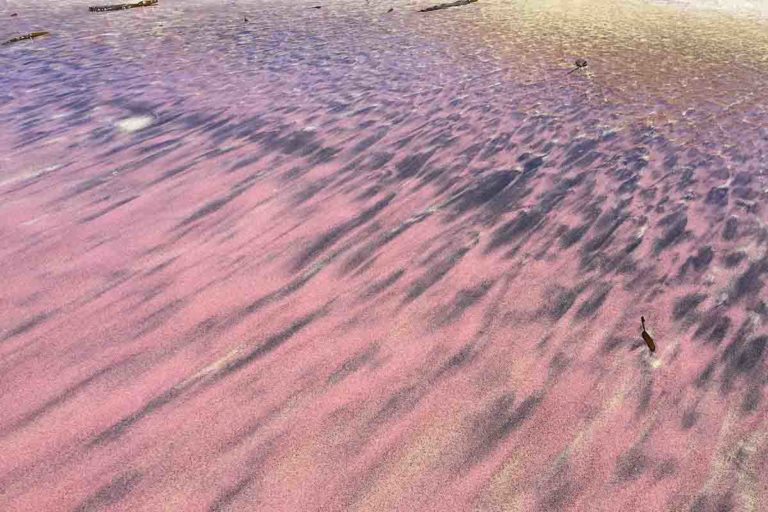 Sabbia viola Pfeiffer Beach Big Sur CA.jpg