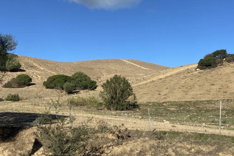 Sardegna siccita colpisce agr.jpg
