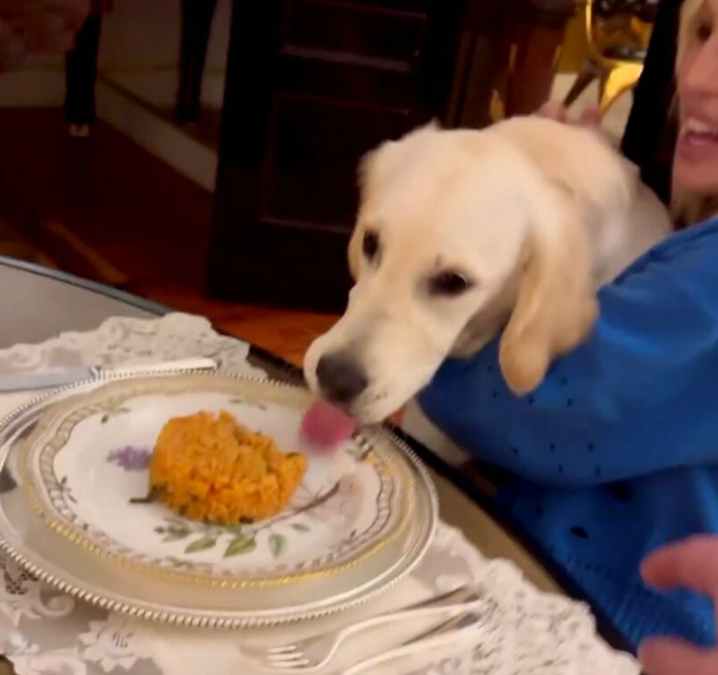 Paloma a casa di Donatella Versace: il divertente episodio 1 Screenshot 2024 01 30 102256.jpg