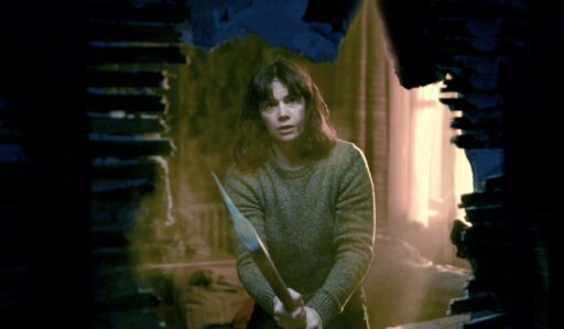 The Woman in The Wall Serie t 512x299.jpg