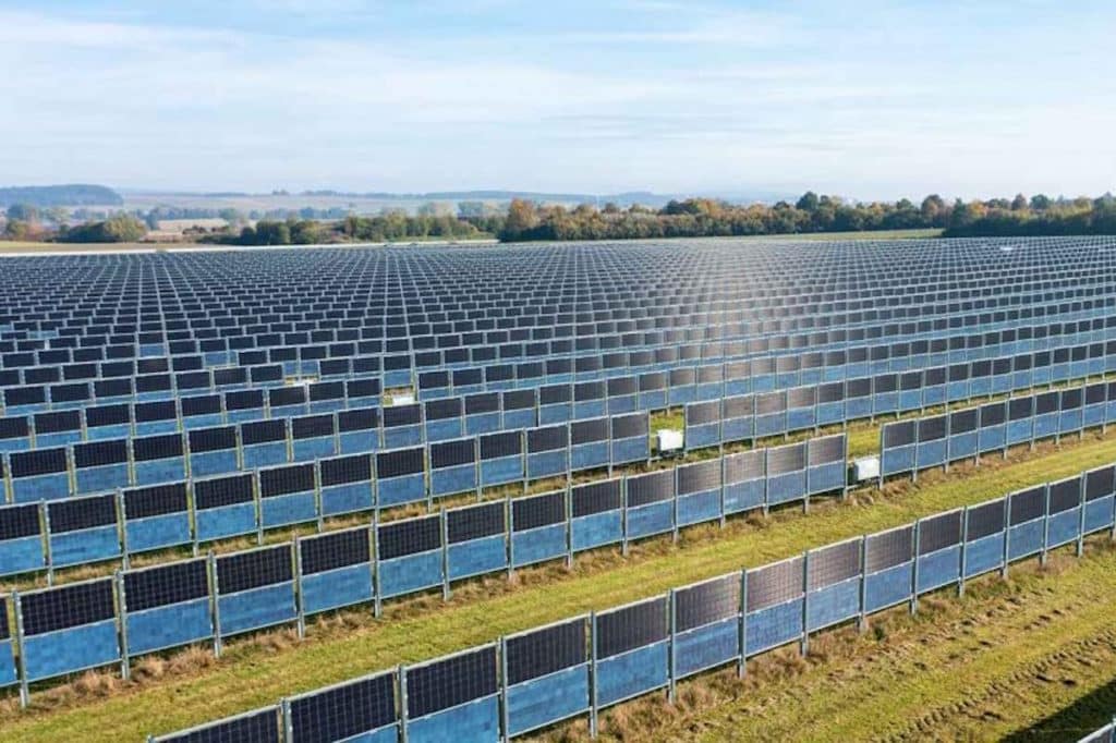 agrivoltaico verticale.jpg