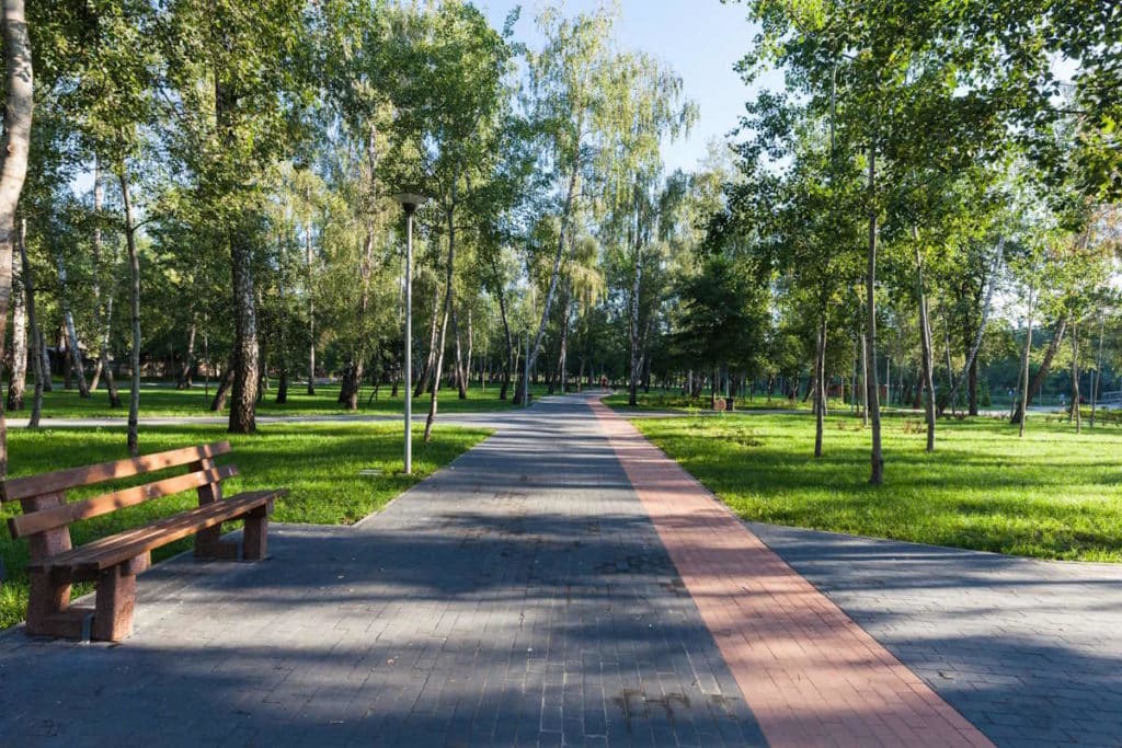 alberi mangia smog.jpg