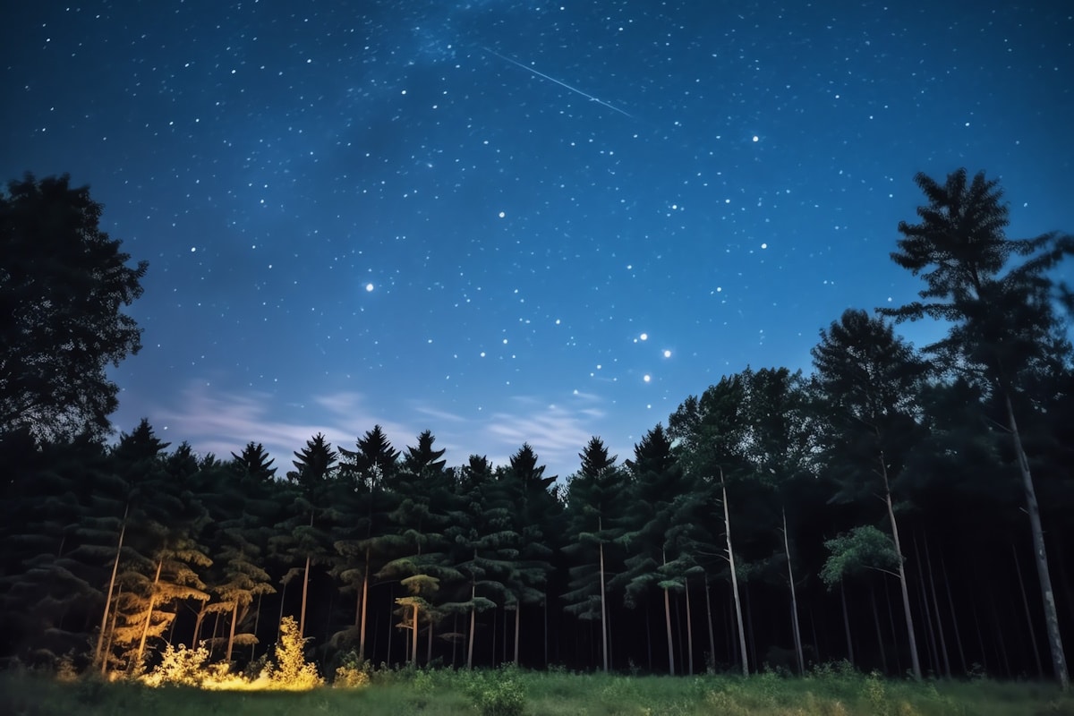 Salutiamo gennaio con una pioggia di stelle cadenti, le splendide le alfa Leonidi! 1 alfa leonidi 31gen2024.jpg