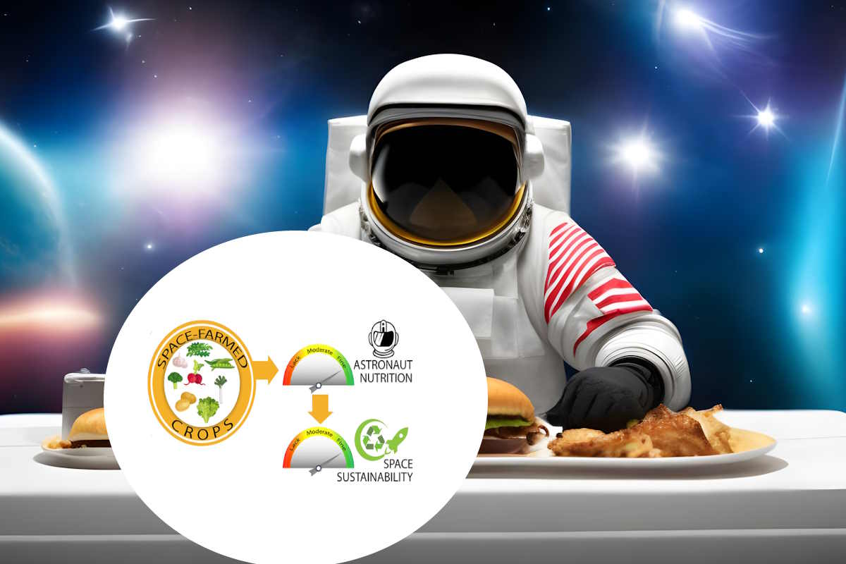 Qual è il pasto migliore per gli astronauti su Marte? La scoperta ti sorprenderà (ed è anche sostenibile!) 1 alimentazione marte.jpg