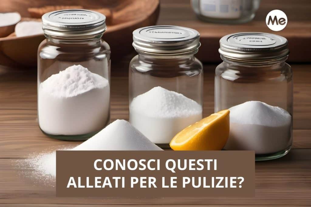alleati per le pulizie.jpg