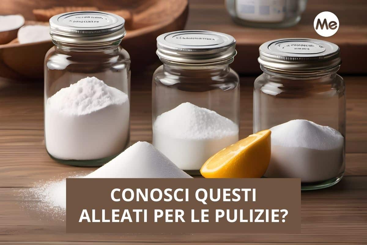alleati per le pulizie.jpg