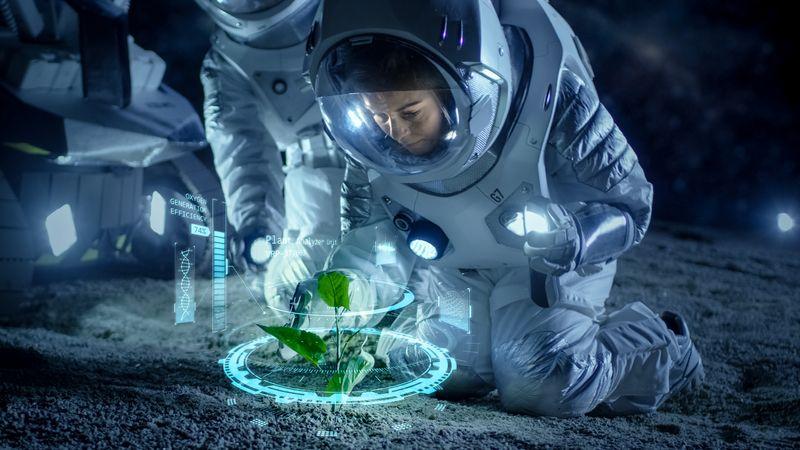 astronaut kneeling to examine a plant on the moon surface m.jpg