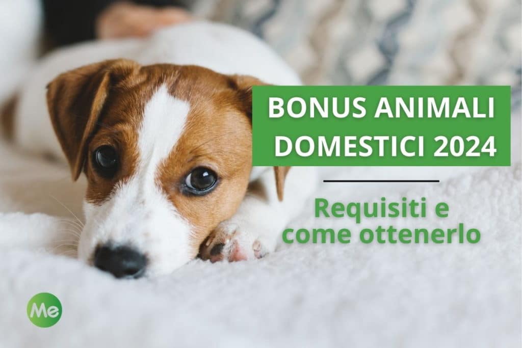 bonus animali.jpg